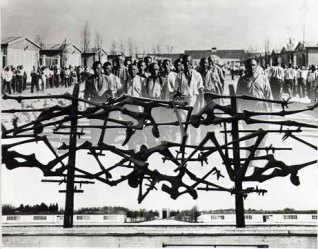 dachau_coll