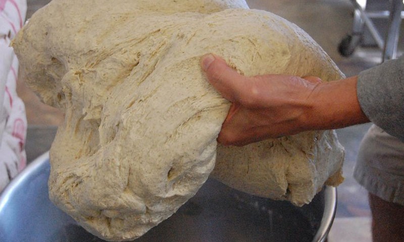 blue-heaven-leaven-bread-dough-e1443546998297